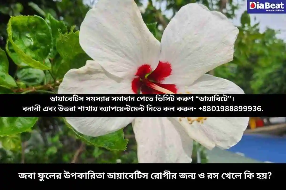 জবা ফুলের উপকারিতা ডায়াবেটিস রোগীর জন্য ও রস খেলে কি হয়?