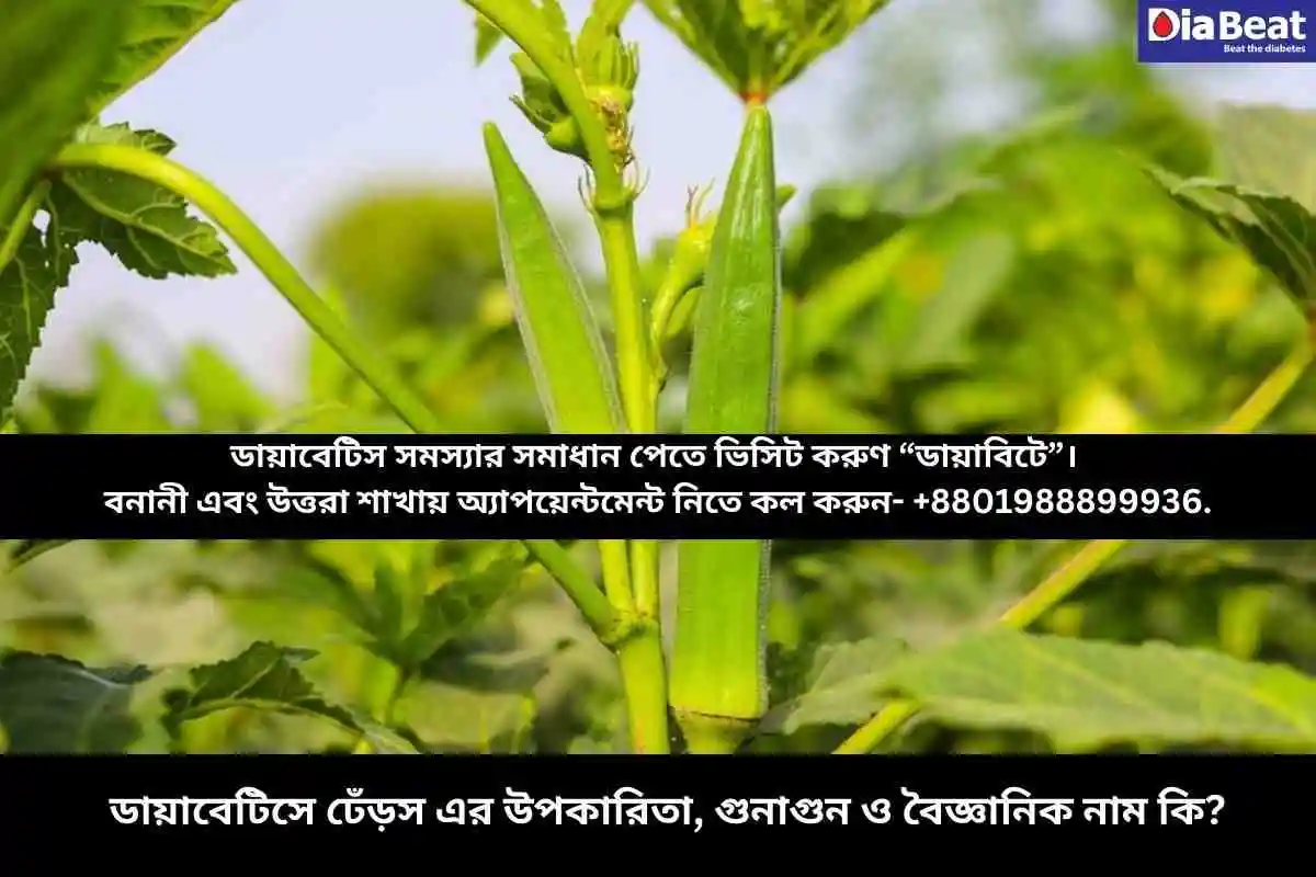 ডায়াবেটিসে ঢেঁড়স এর উপকারিতা, গুনাগুন ও বৈজ্ঞানিক নাম কি?